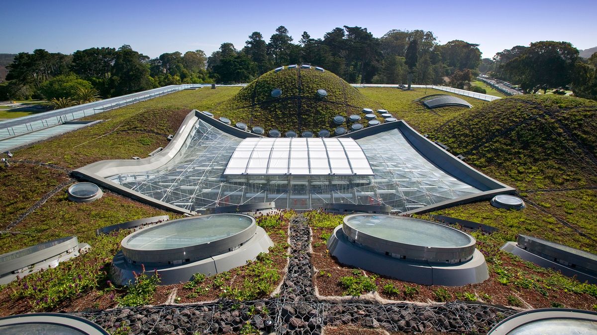 California Academy of Sciences