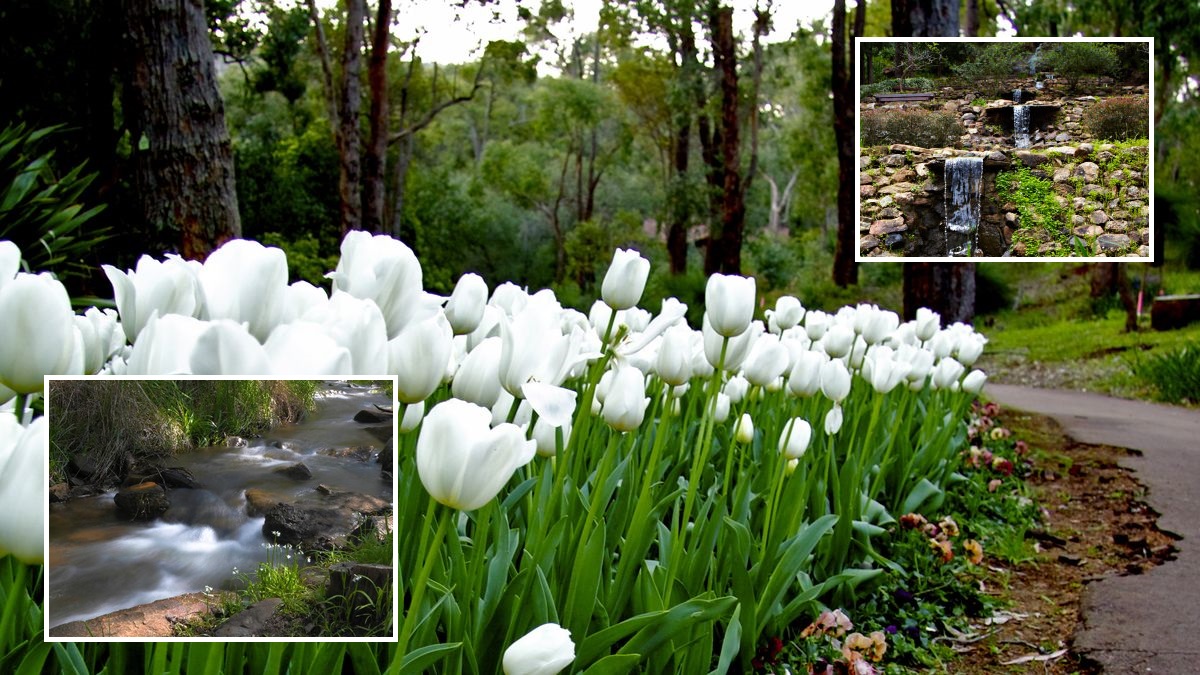 Araluen Botanic Park