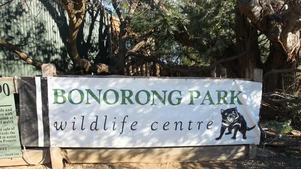 Bonorong Wildlife Sanctuary