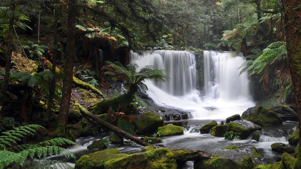 Mt Field National Park