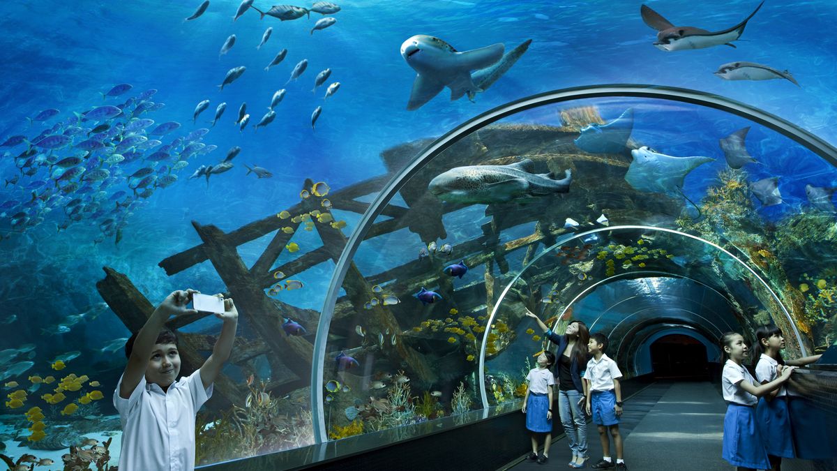 Singapore Aquarium